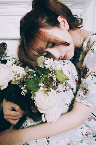 三节片